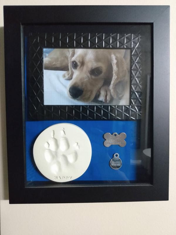 Revisione aperta modale 1 su 1