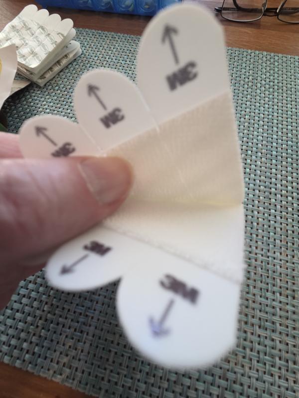 Revisione aperta modale 5 su 5