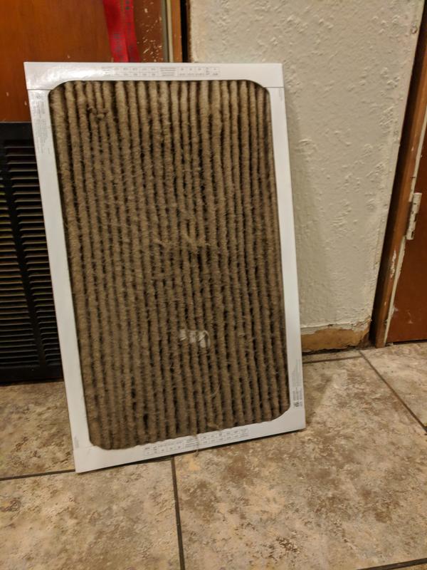 Usual buildup seen around 6wks at this house,  * Filtrete allergen reduc. Plus dust defense 1200D level after only 17 days