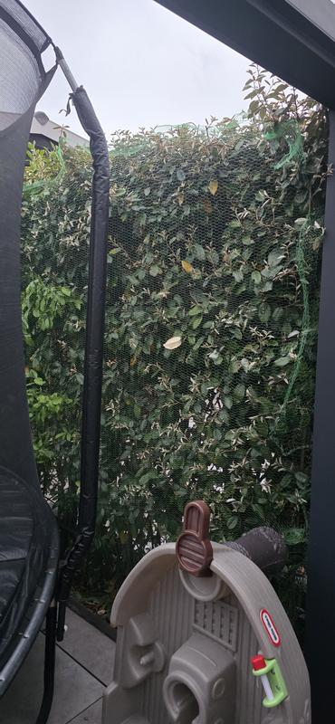AlpineReach 2m x 20m Vogelnet Vogelbeschermingsnet Tuinnet Extra sterke