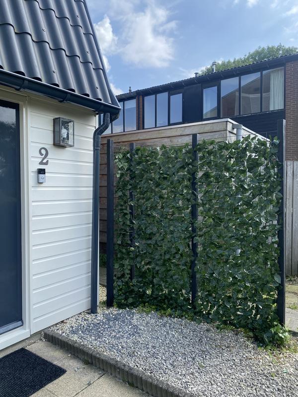Sichtschutzmatte, Knstliche Hecke Efeuoptik 300 x 100 cm | HORNBACH