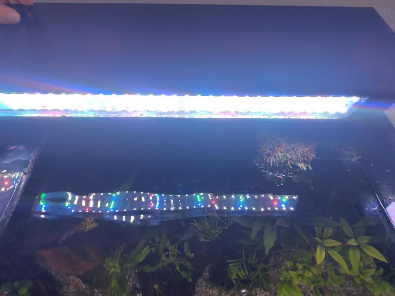 LANTUS LED Aquariumverlichting Volledig Spectrum 90-110 Cm - Verstelbaar & Waterdicht