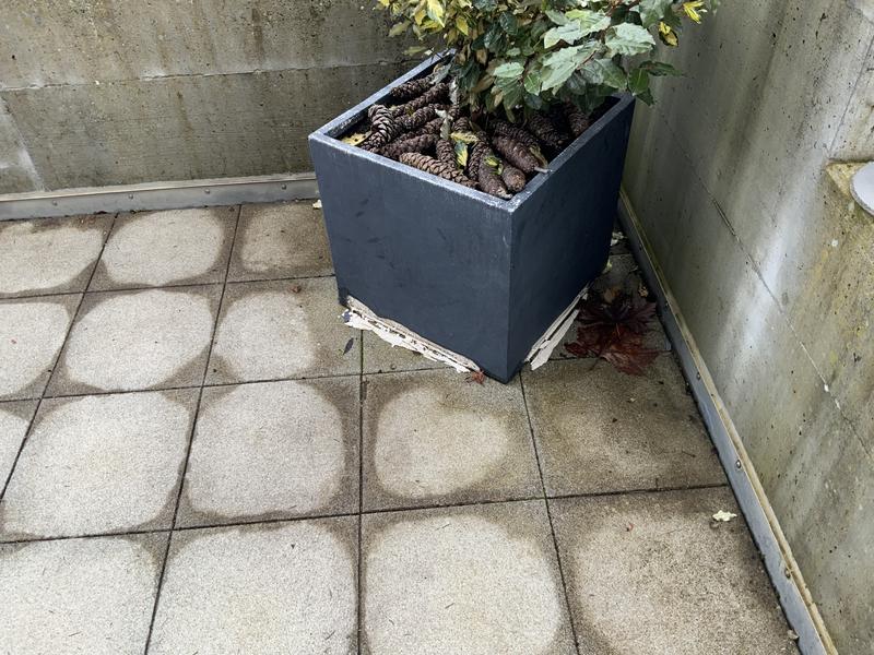 the plant box blumenkasten Plantbox "Stockholm" von INOX Living