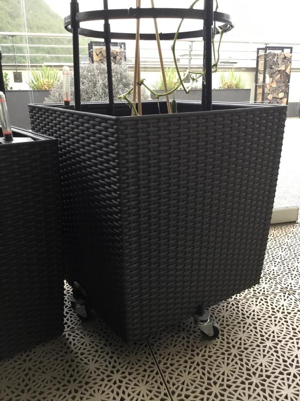 Plantenroller Robuuste bloempottenbak van gaas met wielen Vierkante plantenbakwagen met PU-zwenkwielen Grote verplaatsbare bloempotpallet Bloempothouder voor binnen en buiten