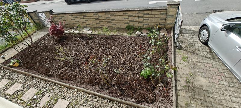 Schöner Garten Rindenmulch 60L – Nadelholzrinde 0–40 Mm – Unkrauthemmend, Schützt Vor Erosion, Für Beete & Wege