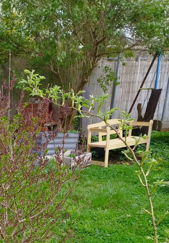 Gartenbank Friesenbank Gartenbank Sensline Kiefer FSC 2 Sitzer 113 X 45 X 78 Cm S0w2k0pv