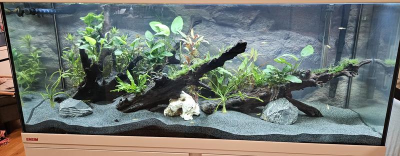 Aquariumbeleuchtung EHEIM classicLED plants 1140 mm 16,5 W | HORNBACH