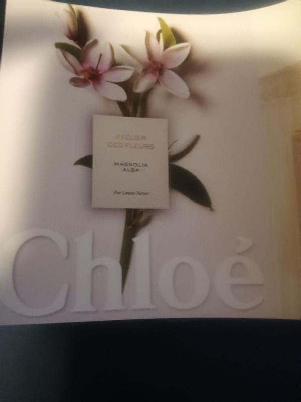 Chloé Atelier des Fleurs Magnolia Alba Eau de Parfum 50ml | Cult