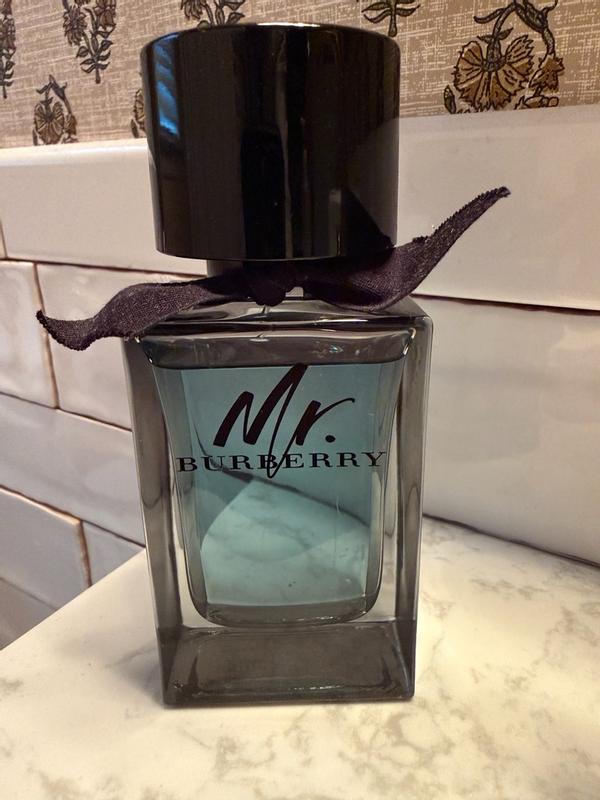 Mr. Burberry Eau De Parfum • 100ml