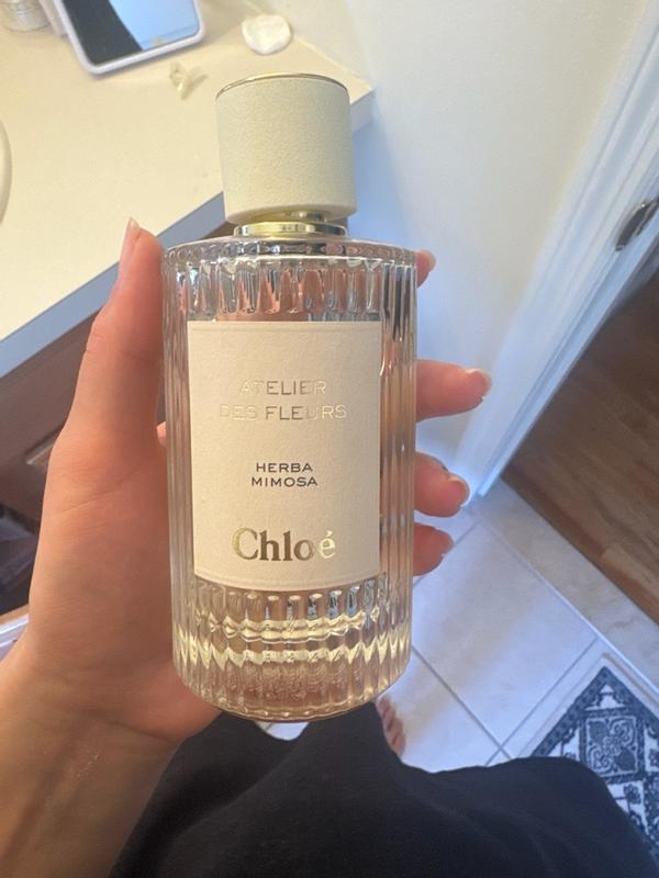 CHLOÉ Atelier Des Fleurs Herba Mimosa Eau De Parfum | MYER