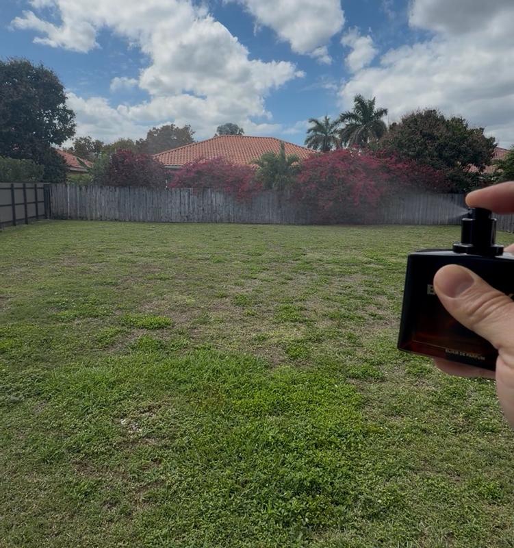 Review Thumbnail Image 3 299525442