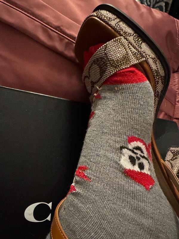 Review Thumbnail Image 3 381128607