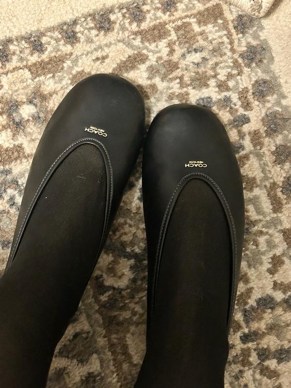 Review Thumbnail Image 0 376480429