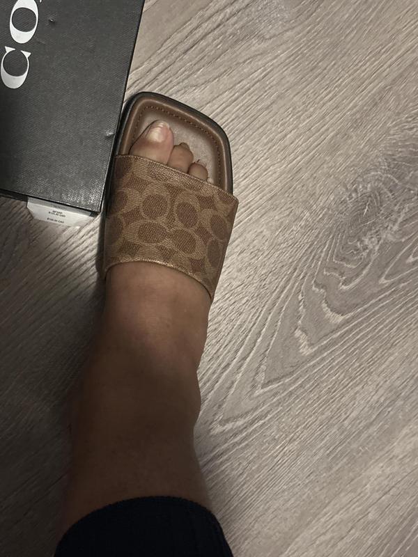 Review Thumbnail Image 0 376974199