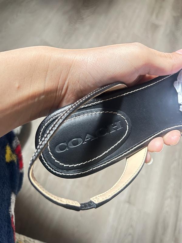 Review Thumbnail Image 1 374744494