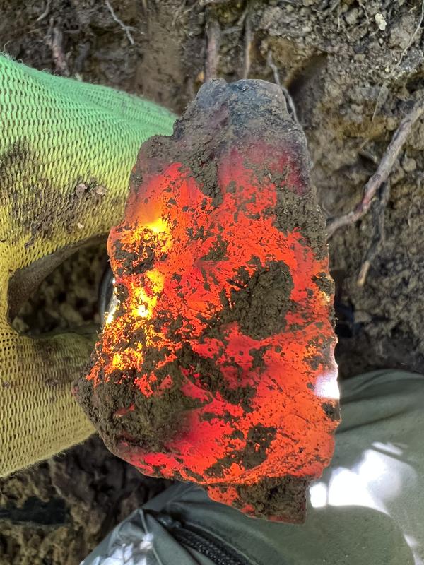 User uploaded product image