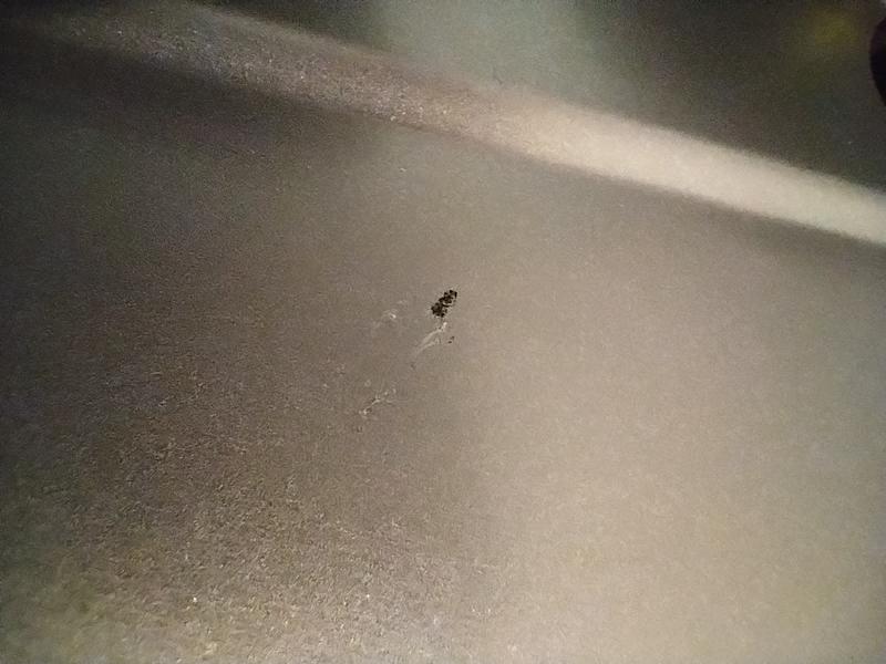 Photo submitted with review of product