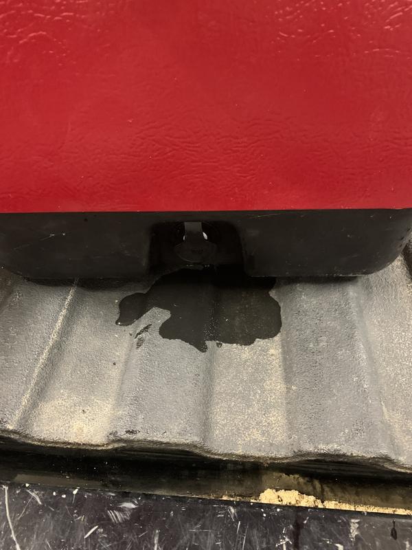 Photo submitted with review of product