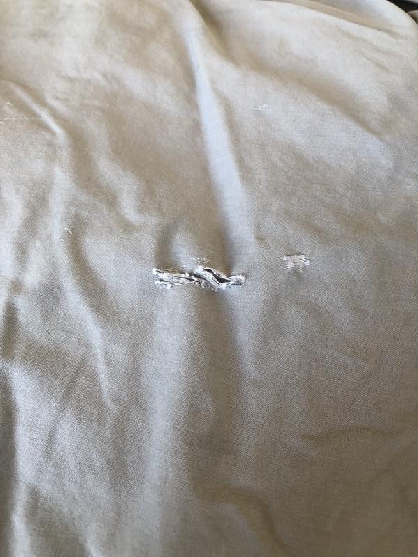 Photo submitted with review of product