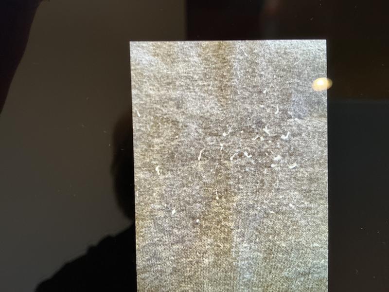 Photo submitted with review of product