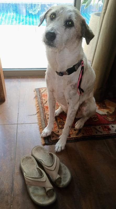 User uploaded product image