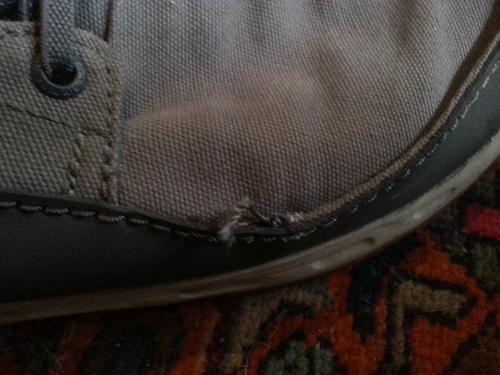 Photo submitted with review of product