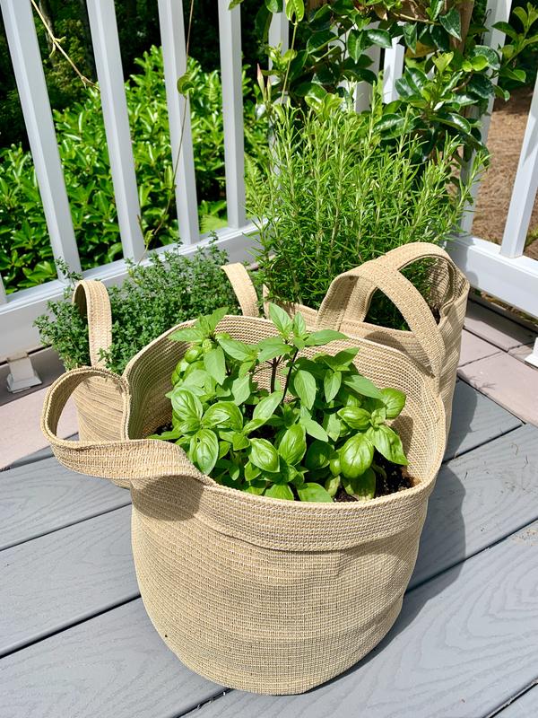 basil, thyme & rosemary