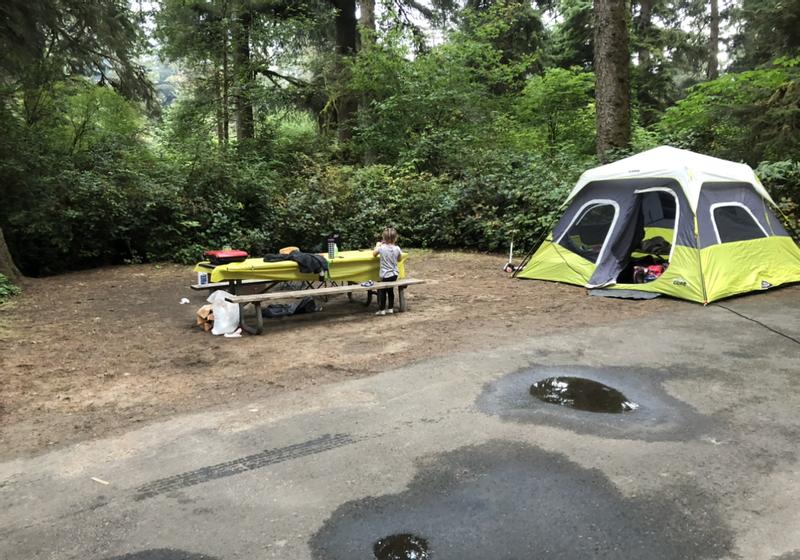 Photo submitted with review of product