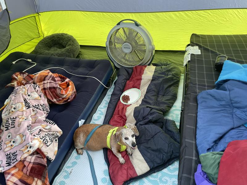 Photo submitted with review of product