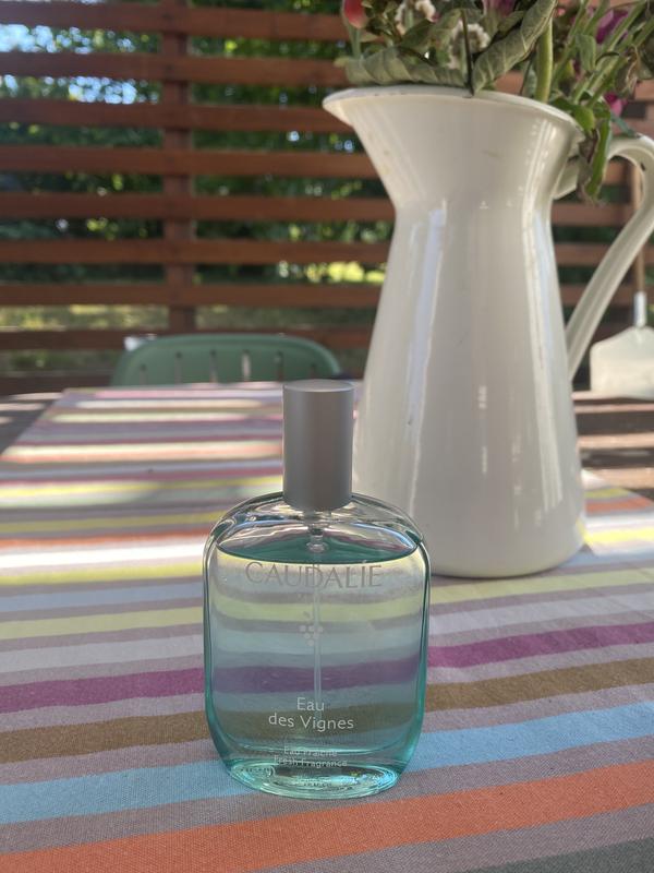 Senteur subtile pas entêtante du tout. 
Cette eau fraiche est parfaite pour l’été  car elle apporte de la fraîcheur et de douceur.
C’est la 1ere fois que je l’achète, je voulais changer du the vert de chez YR. Et je suis ravie de mon achat ! Je l’adore