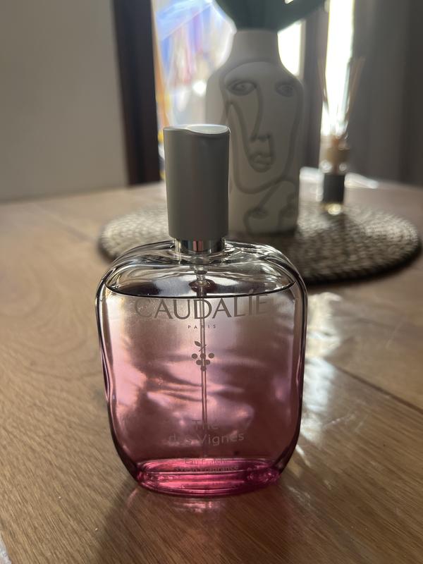 Eau fraîche thé des vignes