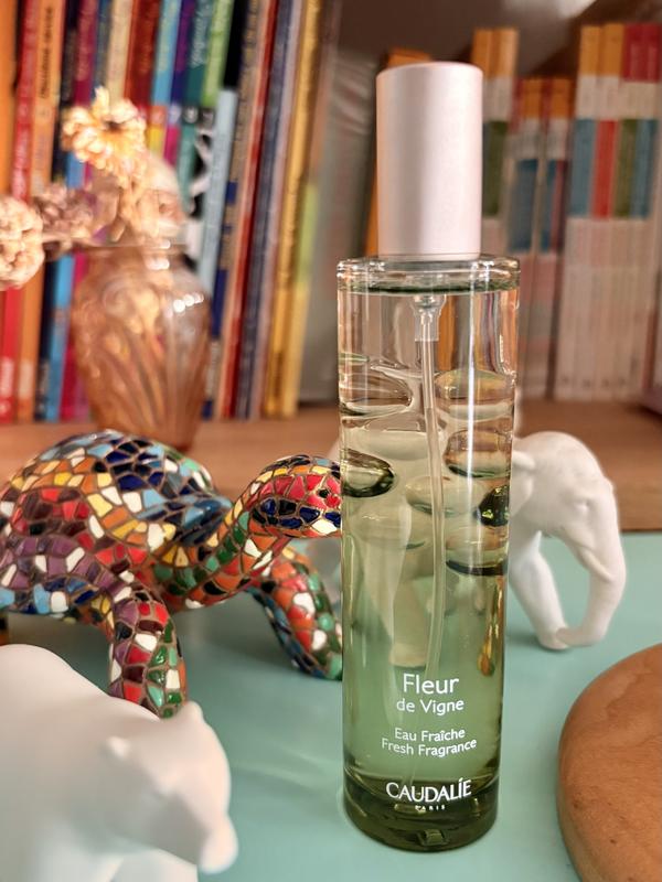 Mon eau fraîche qui n’est plus…