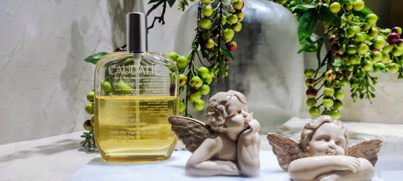 Raios de Sol no óleo Soleil des Vignes!