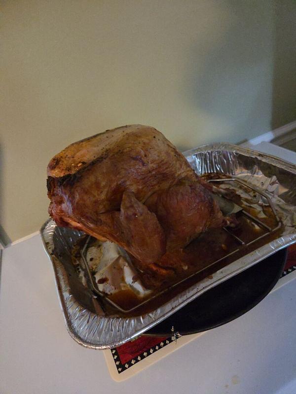 Photo submitted with review of product