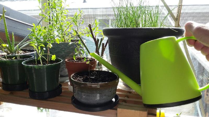 Photo - commentaire&nbsp;1.