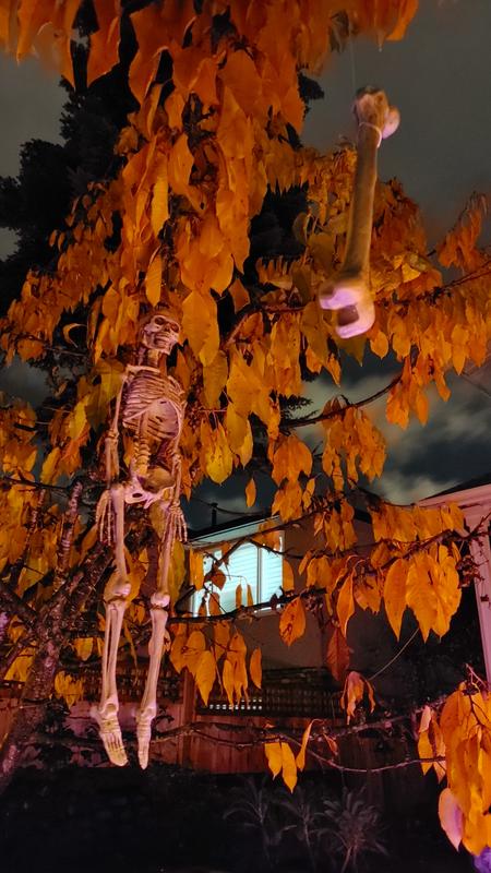 Photo - commentaire&nbsp;2