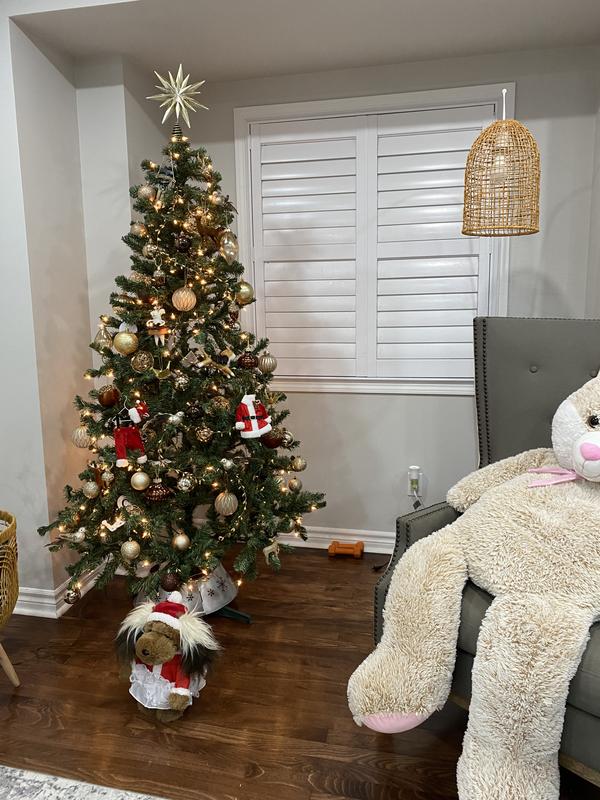 Photo - commentaire&nbsp;3