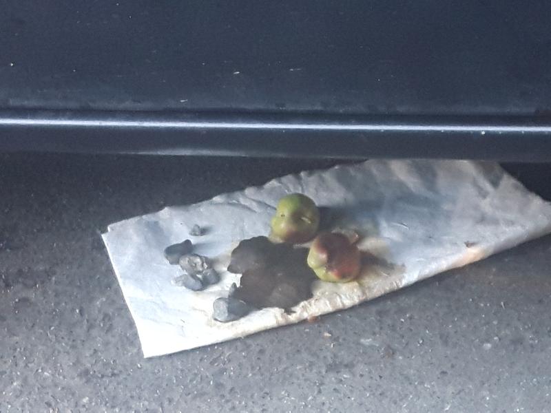 The blob is the putty that just fell off