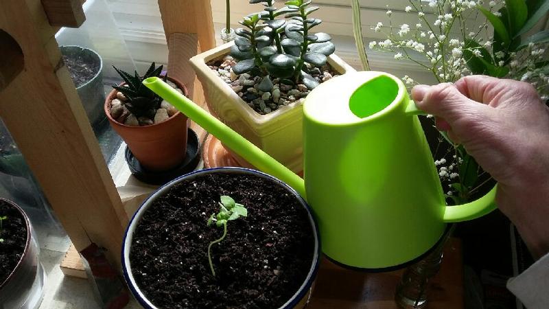 Photo - commentaire&nbsp;2.