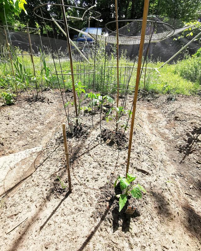 Photo - commentaire&nbsp;2.