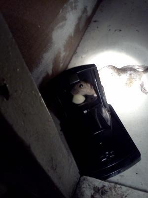 Photo - commentaire&nbsp;4.