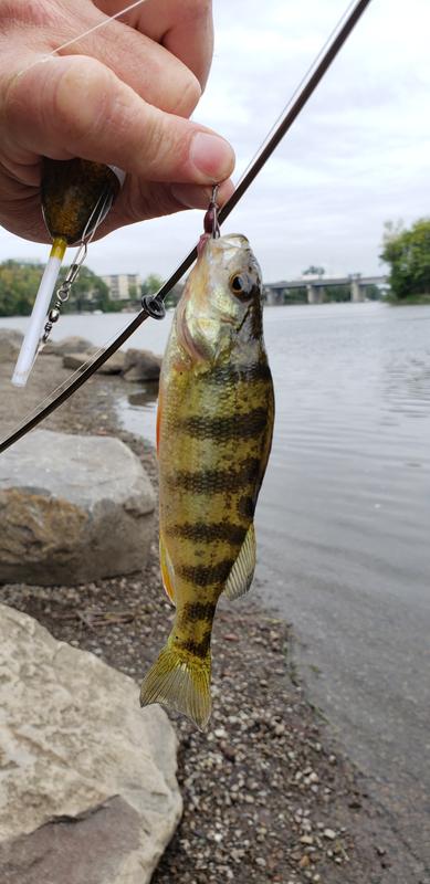 Photo - commentaire&nbsp;1.