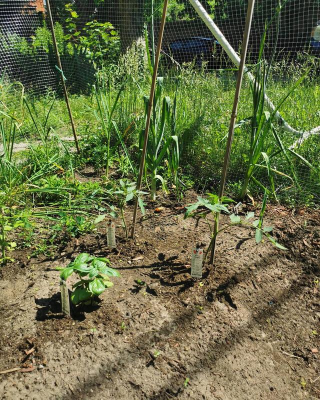 Photo - commentaire&nbsp;5.