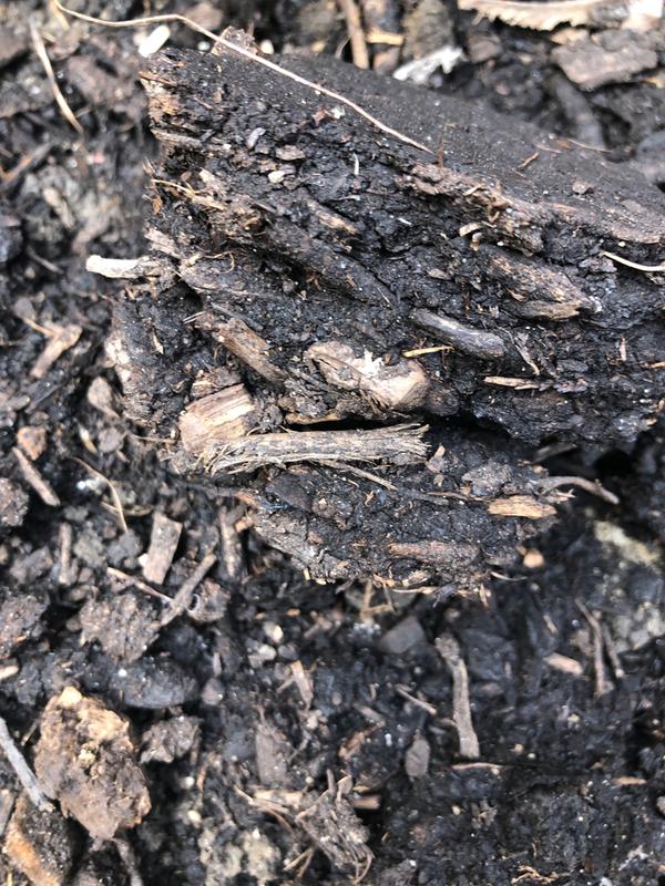 Terrible, filled with cheap wood chunks