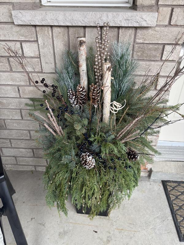 Photo - commentaire&nbsp;1