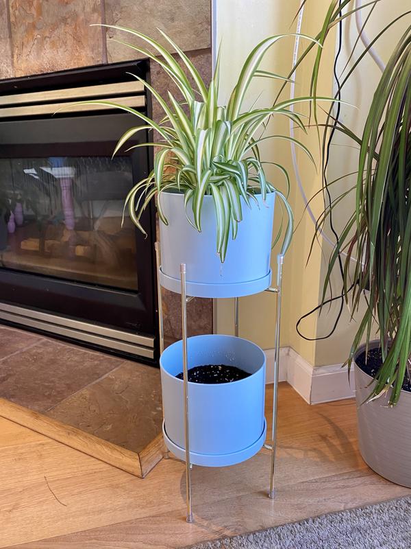 very stylish and pretty!