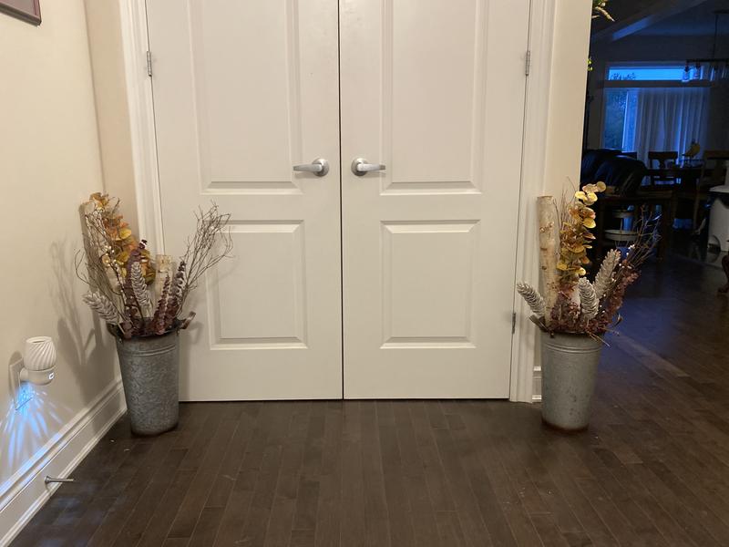 Photo - commentaire&nbsp;2