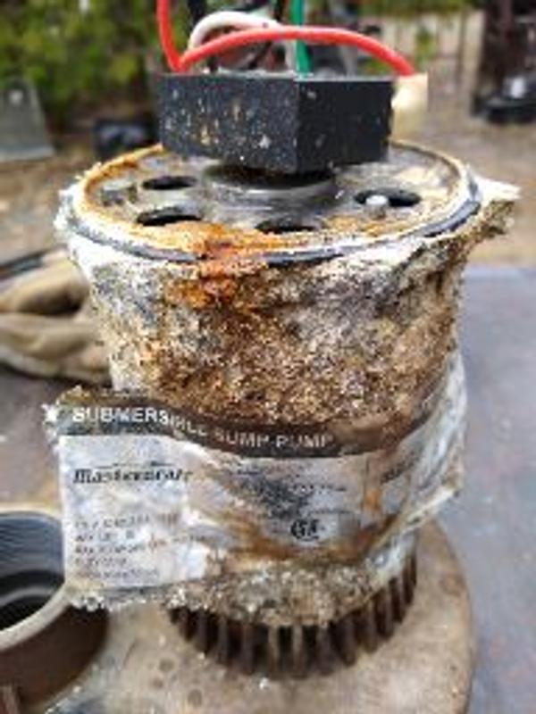 Photo - commentaire&nbsp;1.