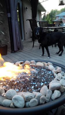 Photo - commentaire&nbsp;2.