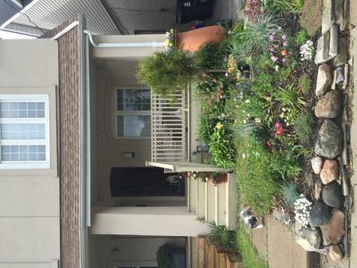 Photo - commentaire&nbsp;1.